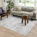 LIVEBOX Washable Area Rug 5x7 Large Boho Living Room Rug Vintage Grey Rugs for Bedroom, Lightweight Retro Carpet Floral Accent Rugs for Nursery Room High Traffic Area (Silvergray)