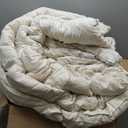 Bedsure Oversized King Comforter Set, Beige Soft Prewashed Bedding for All Seasons, 3 Pieces GentleSoft™ Bed Set, 1 Lightweight Comforter (120"x98") and 2 Pillowcases (20"x36")