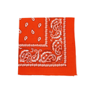 Large Paisley Bandana, 21x21 Inches, Pack Of 18