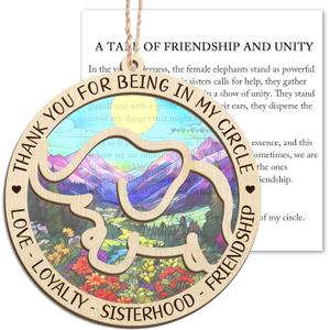 GEEMBI Friends Ornaments for Women - Elephant Suncatcher Christmas Ornaments 2026 for Tree Decorations - Friendship Birthday Elephant Day Gifts for Women Friends, Bestie BFF Best Friend Birthday Gifts (Multicolor My Circle)