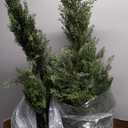 Two Pre-Potted 3' Artificial Cedar Topiary Outdoor Indoor Tree (Green*2)
