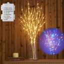 Hairui Lighted Birch Branches Battery Operated with 8 Functions 100 Multi Color and Warm White Lights, Pre Lit Twig Branches for Easter Christmas Party Room Decoration