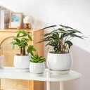Vancasso 3-Pack Ceramic Plant Pots, 3.7/4.8/6.2 Inch Indoor Planters with Saucers & Drainage Hole Planter pots for Indoor Plants and Flower, White