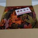 Fall Wreaths for Front Door, 24 Inch Autumn Large Pumbkin Wreath with Berry, Maple Leaves and Pine Cone, Thanksgiving Harvest Festival Wreaths Indoor and Outdoor Wall, Window, Home Door Decor