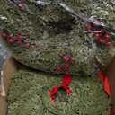 18 Pcs Small Christmas Norfolk Wreaths 15 Inch Christmas Kitchen Cabinet Mini Wreath Real Touch with Bow Ribbon Cedar Red Berry for Xmas Front Door Window Chair Fireplace Table Pillar Farmhouse Decor