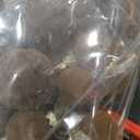 XmasExp 36PCS Velvet Christmas Ornaments Set Mixed Flocked Balls Ornaments Shatterproof Christmas Tree Decorations for Holiday,Party,Home(Brown)