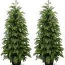 3ft Artificial Cedar Topiary Trees 2 Pack,Real Touch Cedar Tree Faux Plants Potted UV Resistant Evergreen Tree for Outdoor Indoor Door Garden Farmhouse Home Decoration
