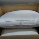 2 x Calvin Klein Luxury Hotel Pillows Queen Size Set of 2 Medium Soft