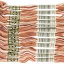 DMC 6-Strand Embroidery Cotton Floss, Variegated Brown