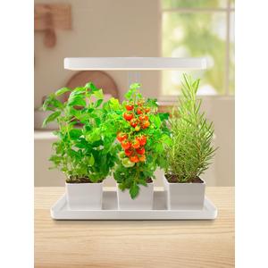 TORCHSTAR Indoor Herb Garden with LED Grow Light, Height Adjustable, 20W Growing System with Automatic Timer, CRI 95+, Full Spectrum Plant Light for Seeds, Vegetation, Home, White, No Pots or Plants