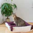 Armarkat 2-in-1 Cat Pet Bed & Fleece Cat Mat, Burgundy/Ivory, 16" L x 16" W x 6" H (C06HJH/MB)