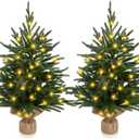 Lyrow Artificial Norfolk Pine Tree 24 Inch Tabletop Christmas Tree Small Light Up Norfolk Pine with 30 Beads for Holiday Party Indoor Outdoor Home Table Fireplace, Entryway Decorations((2 Pcs)