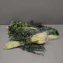 Artificial Eucalyptus Leaves Stems 120 Pcs 4 Kinds Mixed Fake Silver Dollar Eucalyptus Leaves Stem Bulk Faux Leaf for DIY Bouquets Floral Arrangement Wedding Home Decor (Ferns-120pcs)