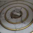 3-Rings Modern LED Chandelier Gold, Dimmable Pendant Lighting with Remote Control Circular Flush Mount High Ceiling Light for Living Room Dining Room Foyer, 3000K-6500K D31.5