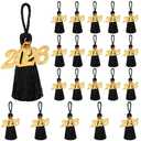 JULMELON 20 Pcs 2026 Mini Tassels Graduation, Black Silk Tassels 2.4 Inch Small Bookmark for Graduation Decor Party Favors DIY Projects Keychain Making Chocolates Decor