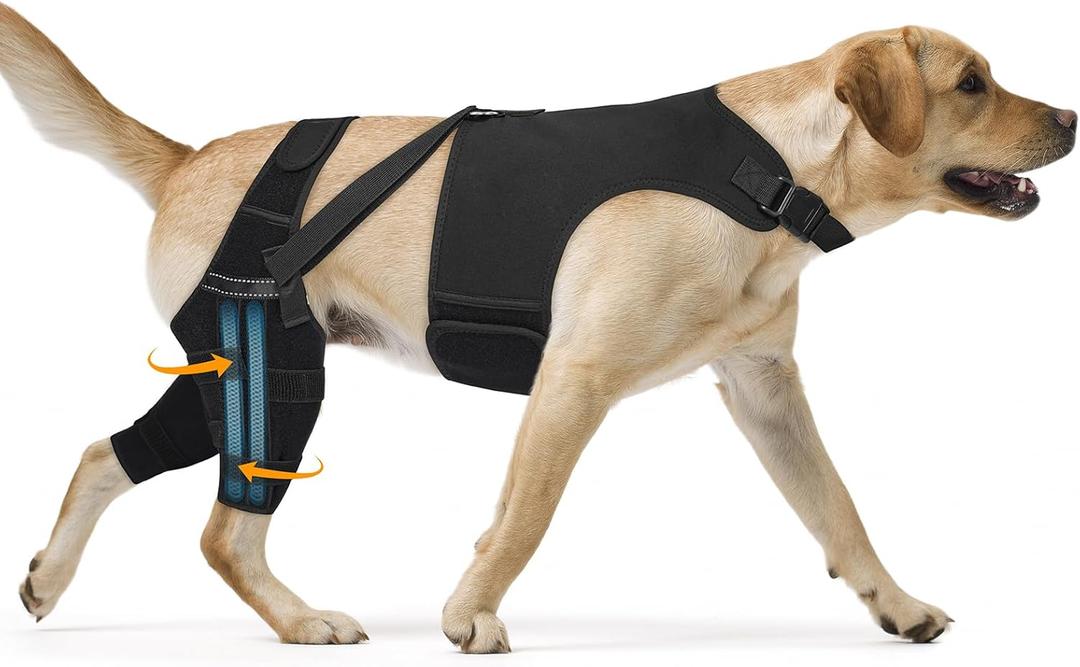Dog Knee Brace for Torn Acl Hind Leg, Adjustable for Back Leg with 4 Stabilizers, Hip Support to Reduces Pain, Ligament Injuries & Luxating Patella for Small Medium Large Dogs,(Black-L)