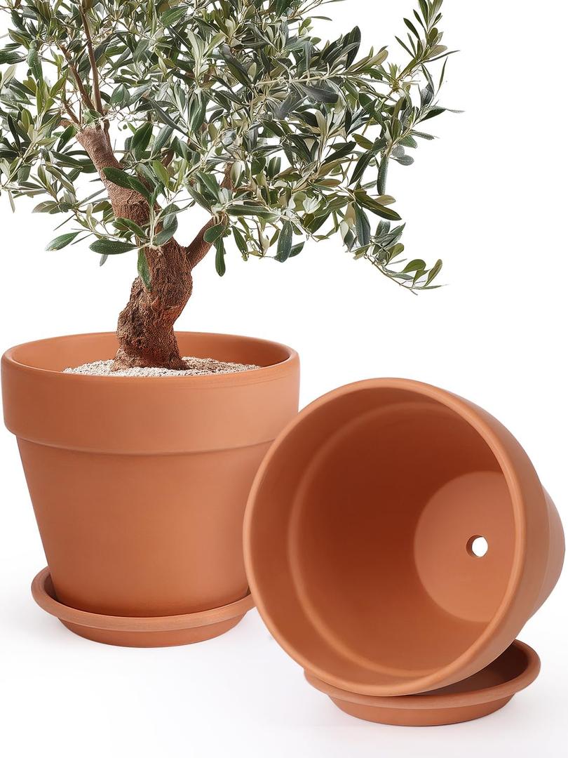 INGOFIN 12 Inch Terracotta Pot Set of 2 with Saucer - Ceramic Clay Pot for Plants with Drainage Hole, Large Terra Cotta Flower Planter with Tray for Indoor Outdoor Plants, 12/12 inch -2 pcs