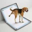 Dog Pee Pad Holder with 4 Magnetic Corner Clips, Small 17.5x23.5 Inch Silicone Non-Slip Base Puppy Potty Training Tray, Leak-Proof Raised Edge for Home Indoor Floor Wall Protection
