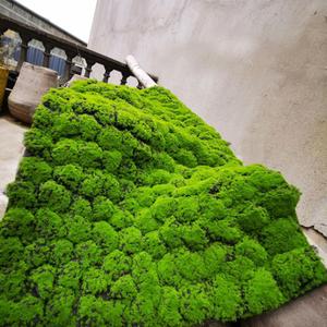 Artificial Moss Turf, 1x1m(3.2x3.2ft) DIY Simulation Artificial Moss for Patio, Balcony, Deck, Yard, Art Wall, Florist Decor
