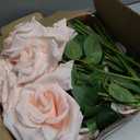 100 Pcs Artificial Roses Bulk Silk Blush Roses Pink Roses for Wedding Centerpieces Bridal Bouquet Mohter's Day Valentine's Day Home Decor
