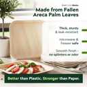 Bamboo Plates with Cutlery - Set of 50 Plates (8in) + 50 Forks + 50 Knives | Biodegradable Palm Leaf Plates | Disposable Dinner Plates | Rustic Dinnerware for Christmas, Wedding, Party
