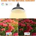 MYSWEETY Hanging Grow Light, Full Spectrum Hanging Plant Lights for Indoor, Vintage Decorative Grow Lights with 16.4FT Power Cord, Plug in Pendant Light with Adjustable Pulley for Plants, Flowers (1)