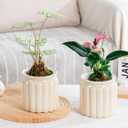 2PCS Self Watering Planters 4.5 Inch Self Watering Pots for Indoor Plants, African Violet Pots with Wick Rope, Flowers, Succulents, Herb, House Plants
