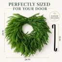 24 Inch Heart Shaped Norfolk Pine Wreath with 15 Inch Black Hanger