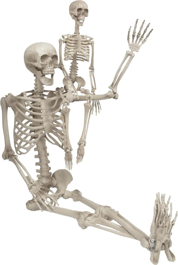 Halloween Posable Human Adult (5' 4") & Child (3') Skeleton Value 2 Pack - Life Size, Articulated Limbs & Bones Stay in Place, Weather Resistant Indoor/Outdoor Decoration- Haunted House Party Props