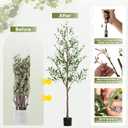 Olive Tree Artificial Indoor, 6 FT Faux Olive Trees with Planter, Fake Tall Plants with Natural Trunk and Lifelike Fruits for Home Office Decor(1