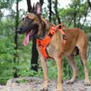 ICEFANG Dog Strap Harness with All-Metal Hardware,for X-Large Sized Dog,K9 Vest,Y-Shape Soft Padding,Adjustable Pet Harness,No-Pull Front Leash Clip (X-Large (Pack of 1), Orange)
