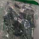 Pafusen 12 Pack Liquor Pour Spout With Dust Caps - Bottle Pourers for Alcohol, Olive Oil - Speed Pourers, Bar Bartender Accessories (Silver)