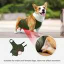 Waterproof Corgi Raincoat - Lightweight Dog Bellyband & Protector, Breathable, Anti-Dirty Puppy Outfits(Green, 2XL)