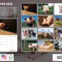 Pig Calendar 2026 Monthly Wall Calender 12 Month | American Made In The USA