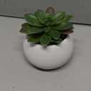 White Spherical Ceramic Planter Succulent Small Plant Pots Indoor Modern Round Decorative Indoor-Outdoor Garden Plant Pots with Drainage Holes - Plants Not Included 3.94 x 3.94 x 3.15 Inch