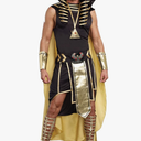 Dreamgirl Men's Adult Fashion King of Egypt King Tut Costume, Gold Small