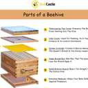 BeeCastle 8-Frame Bee Hives and Supplies Starter Kit,Beehive Kit Dipped in 100% Beeswax,Bee Keeping Supplies-All Beginners Kit Includes Beekeeping Supplies Tool Set and Bee Suit.