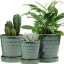 Ceramic Plant Pots,4+5+6 Inch Pots for Indoor Plants,Planters with Drainage Holes and Ceramic Tray, Indoor Flower Pots Gardening Home Desktop Office Windowsill Decoration Gift,Set of 3 (Patina)