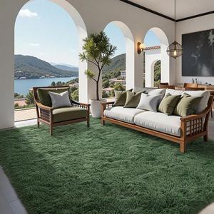 FinRec 5x8 Feet Green Rug for Living Room Bedroom, Fluffy Fuzzy Shag Rugs, Non-Slip Furry Shaggy Area Rug for Nursery Kids Room Dorm Room Home Decor, Indoor Floor Carpet
