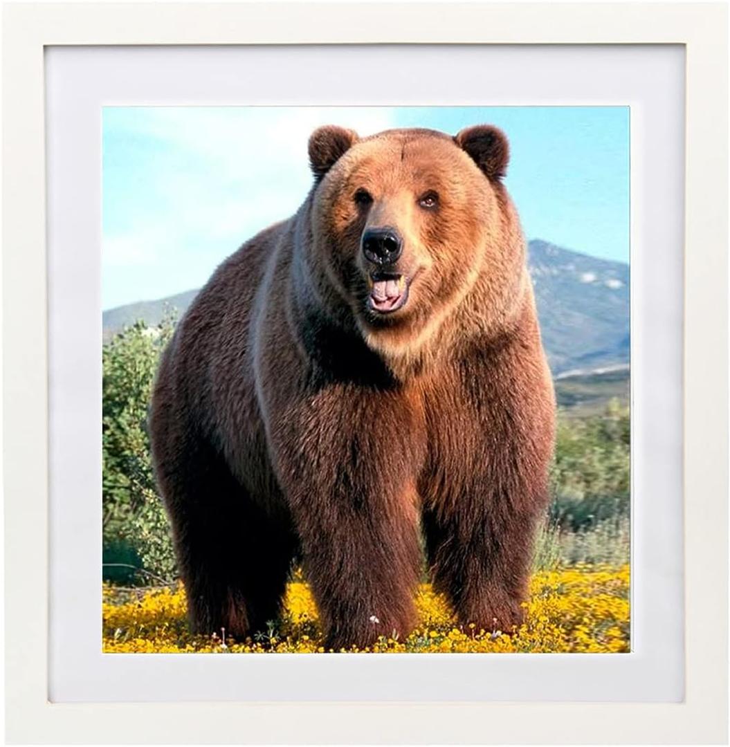 16x16 Diamond Painting Picture Frames,Display Pictures 14x14 Inch/35x35cm With Mat or 16x16 Inch/ 40x40cm Without Mat, Picture Frames Diamond Art Frames Wood White (YK0062)