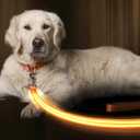 ILLUMISEEN LED Light Up Dog Leash | Ultra High Visibility Up to 350 Yards | 3 Lighting Modes | USB Rechargeable, No Batteries Needed | Padded Handle & Rotating Swivel Clasp to Prevent Leash Tangling (4 Feet, Bright Orange)