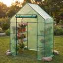 Greenhouse for Outdoors,55 x 28 x 78'' Small Greenhouse,Walk in Plant Greenhouses with 3 Tiers 6 Shelves,Heavy Duty with Durable PE Cover,Heavy Duty Plant Greenhouses for Garden and Backyard
