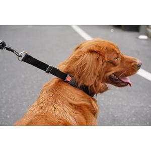 Dog Collar, Martingale No Pull Collar , Black, Hidden Design, 20 inches, Adjustable