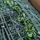 EverNature EverNture 71"x144" (72 SQFT) Grass Wall Panels, Artificial Grass Backdrop, Fake Greenery Plant Boxwood Roll with Flower, Green Wall Decor for Outdoor Indoor Patio Garden Backyard