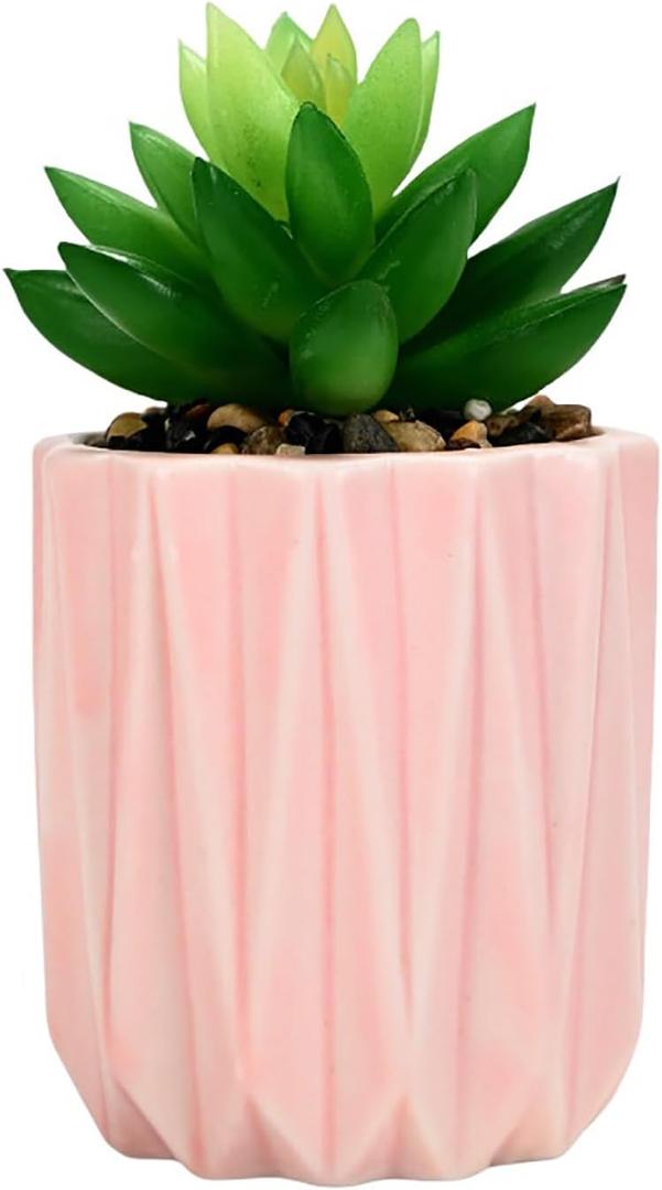 Succulent Plant Pots Ceramic Plant Pots and Drainage Hole Bonsai Planter Small Flower Pots for Indoor Outdoor Use for Home Office Garden Decoration, Plants Not Included(Pink, 2 Packs)