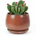 7.5 Inch Flower pots for Indoor Outdoor Plants with Saucer Drainage Leak-Proof Mesh, Ceramic Planter with Gardening Gloves for Succulent and Flower(Iron-red)