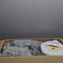 Puleo International 6ft Pre-Lit Potted Flocked Arctic Fir Pencil Christmas Tree with 120 Warm White Lights, 1325 Realistic Dense Snow Flocked Branch Tips, Easy Setup Artificial Trees with Sturdy Stand