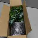 14.5" Artificial Plants Indoor Home Decor, Fake Potted Silk Plants for Shelves Living Room Decorative, Small Artificial Office Desk Plants in Pots, Faux Grape Leaf Vine Hope Tropical House Plant (# Rusted Green)