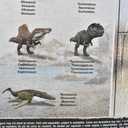 Jurassic World Rebirth Basic 12" Spinosaurus Action Figure