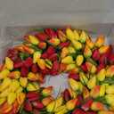 The Wreath Depot Blush Tulip Front Door Wreath 19 Inch, Gorgeous Full Spring Door Wreath Designed in USA, Measures True to Size, White Gift Box Included